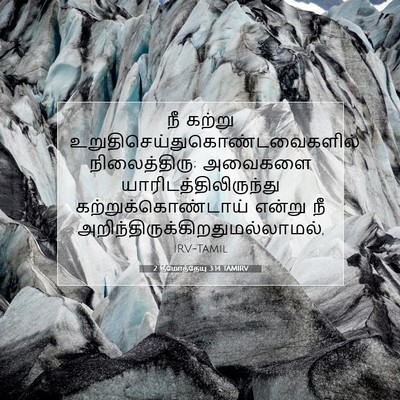 Picture 07 - 2 தீமோத்தேயு 3:14 TAMIRV - நீ கற்று - Bible Verse Picture