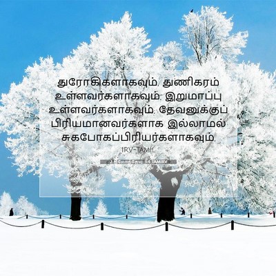 Picture 07 - 2 தீமோத்தேயு 3:4 TAMIRV - துரோகிகளாகவும், - Bible Verse Picture