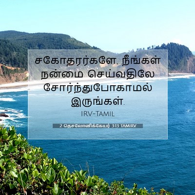 Picture 07 - 2 தெசலோனிக்கேயர் 3:13 TAMIRV - சகோதரர்களே, - Bible Verse Picture