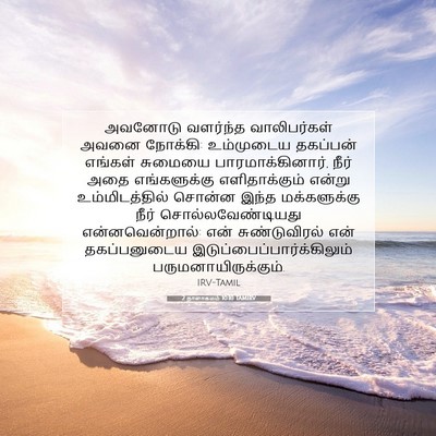 Picture 07 - 2 நாளாகமம் 10:10 TAMIRV - அவனோடு வளர்ந்த - Bible Verse Picture