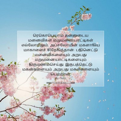 Picture 07 - 2 நாளாகமம் 11:21 TAMIRV - ரெகொபெயாம் - Bible Verse Picture