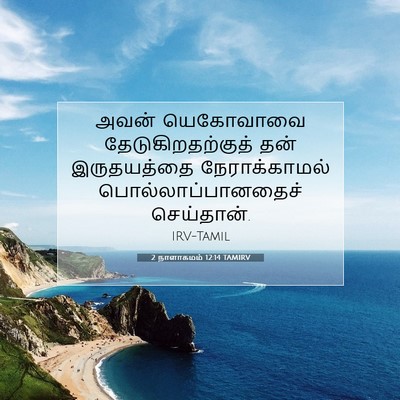 Picture 07 - 2 நாளாகமம் 12:14 TAMIRV - அவன் யெகோவாவை - Bible Verse Picture