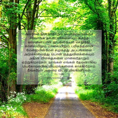 Picture 07 - 2 நாளாகமம் 13:11 TAMIRV - அவர்கள் - Bible Verse Picture