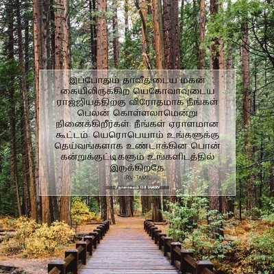 Picture 07 - 2 நாளாகமம் 13:8 TAMIRV - இப்போதும் - Bible Verse Picture