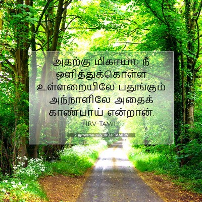 Picture 07 - 2 நாளாகமம் 18:24 TAMIRV - அதற்கு மிகாயா: நீ - Bible Verse Picture