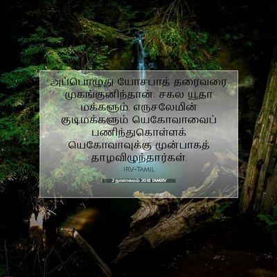 Picture 07 - 2 நாளாகமம் 20:18 TAMIRV - அப்பொழுது யோசபாத் - Bible Verse Picture
