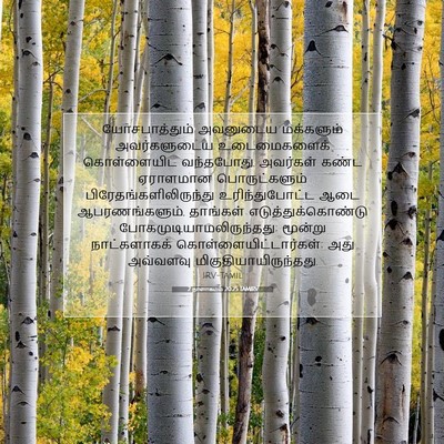 Picture 07 - 2 நாளாகமம் 20:25 TAMIRV - யோசபாத்தும் - Bible Verse Picture