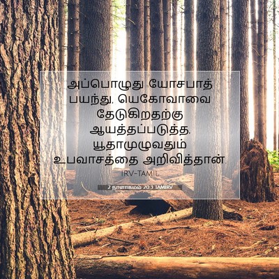 Picture 07 - 2 நாளாகமம் 20:3 TAMIRV - அப்பொழுது யோசபாத் - Bible Verse Picture
