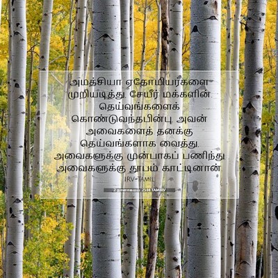 Picture 07 - 2 நாளாகமம் 25:14 TAMIRV - அமத்சியா - Bible Verse Picture