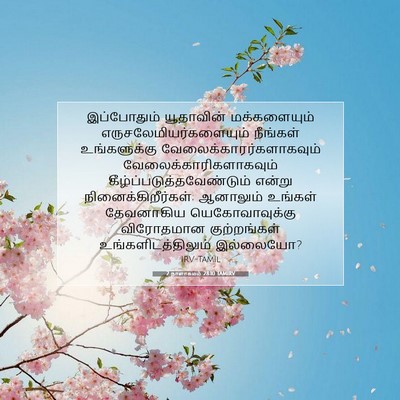 Picture 07 - 2 நாளாகமம் 28:10 TAMIRV - இப்போதும் - Bible Verse Picture