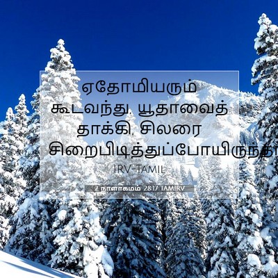 Picture 07 - 2 நாளாகமம் 28:17 TAMIRV - ஏதோமியரும் - Bible Verse Picture