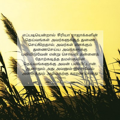 Picture 07 - 2 நாளாகமம் 28:23 TAMIRV - எப்படியென்றால்: - Bible Verse Picture