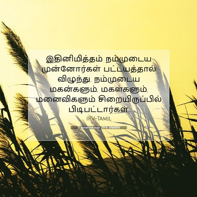 Picture 07 - 2 நாளாகமம் 29:9 TAMIRV - இதினிமித்தம் - Bible Verse Picture