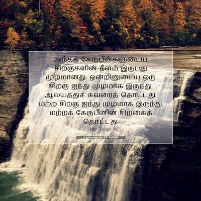 Picture 07 - 2 நாளாகமம் 3:11 TAMIRV - அந்தக் - Bible Verse Picture