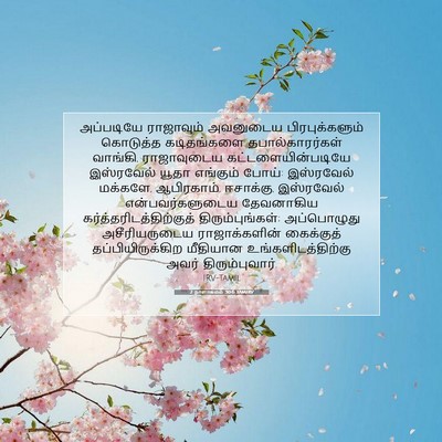 Picture 07 - 2 நாளாகமம் 30:6 TAMIRV - அப்படியே ராஜாவும் - Bible Verse Picture