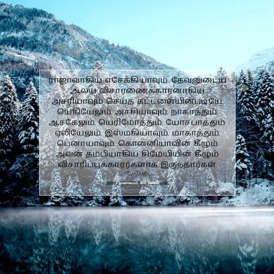 Picture 07 - 2 நாளாகமம் 31:13 TAMIRV - ராஜாவாகிய - Bible Verse Picture