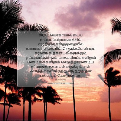 Picture 07 - 2 நாளாகமம் 31:3 TAMIRV - ராஜா யெகோவாவுடைய - Bible Verse Picture