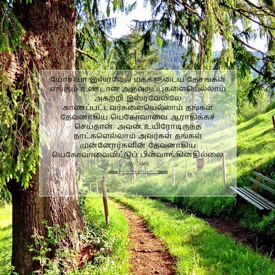 Picture 07 - 2 நாளாகமம் 34:33 TAMIRV - யோசியா இஸ்ரவேல் - Bible Verse Picture