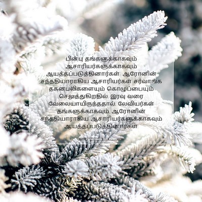 Picture 07 - 2 நாளாகமம் 35:14 TAMIRV - பின்பு - Bible Verse Picture