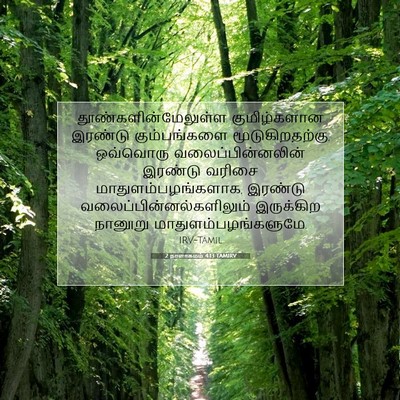 Picture 07 - 2 நாளாகமம் 4:13 TAMIRV - தூண்களின்மேலுள்ள - Bible Verse Picture