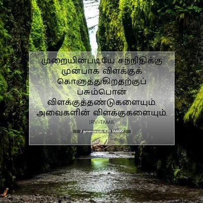Picture 07 - 2 நாளாகமம் 4:20 TAMIRV - முறையின்படியே - Bible Verse Picture