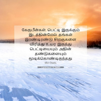 Picture 07 - 2 நாளாகமம் 5:8 TAMIRV - கேருபீன்கள், - Bible Verse Picture