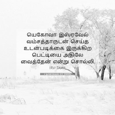 Picture 07 - 2 நாளாகமம் 6:11 TAMIRV - யெகோவா இஸ்ரவேல் - Bible Verse Picture