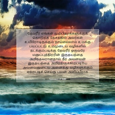 Picture 07 - 2 நாளாகமம் 6:31 TAMIRV - தேவரீர் எங்கள் - Bible Verse Picture