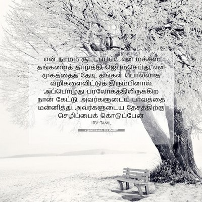 Picture 07 - 2 நாளாகமம் 7:14 TAMIRV - என் நாமம் - Bible Verse Picture
