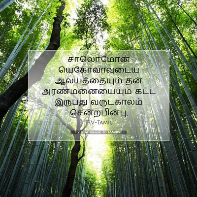 Picture 07 - 2 நாளாகமம் 8:1 TAMIRV - சாலொமோன் - Bible Verse Picture