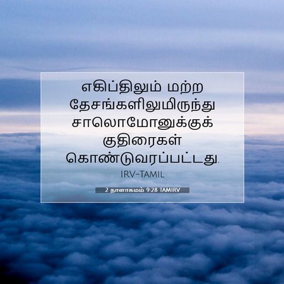 Picture 07 - 2 நாளாகமம் 9:28 TAMIRV - எகிப்திலும் மற்ற - Bible Verse Picture