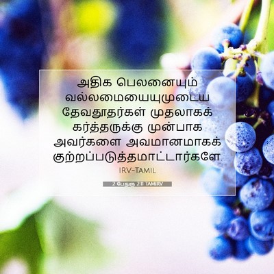 Picture 07 - 2 பேதுரு 2:11 TAMIRV - அதிக பெலனையும் - Bible Verse Picture