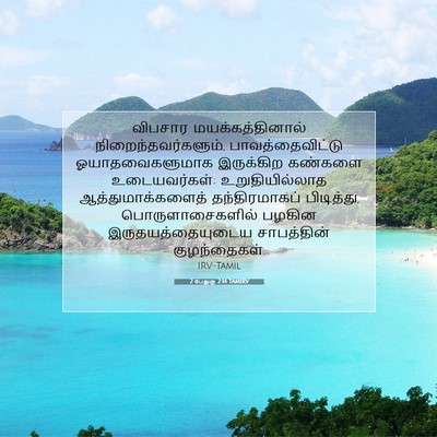 Picture 07 - 2 பேதுரு 2:14 TAMIRV - விபசார - Bible Verse Picture