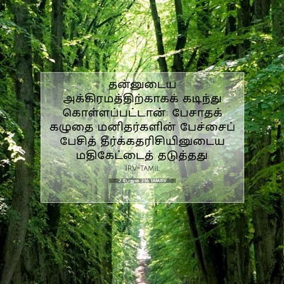 Picture 07 - 2 பேதுரு 2:16 TAMIRV - தன்னுடைய - Bible Verse Picture