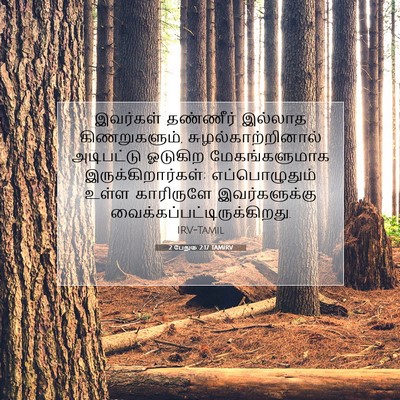Picture 07 - 2 பேதுரு 2:17 TAMIRV - இவர்கள் தண்ணீர் - Bible Verse Picture