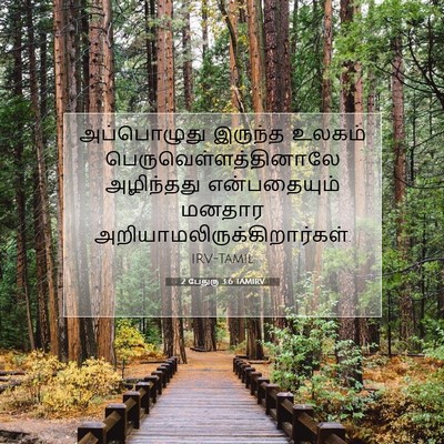 Picture 07 - 2 பேதுரு 3:6 TAMIRV - அப்பொழுது இருந்த - Bible Verse Picture