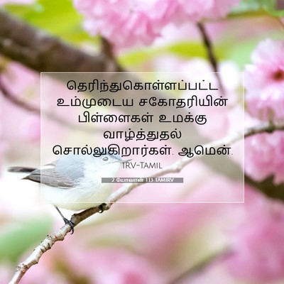 Picture 07 - 2 யோவான் 1:13 TAMIRV -  - Bible Verse Picture