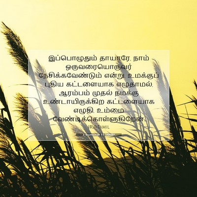 Picture 07 - 2 யோவான் 1:5 TAMIRV - இப்பொழுதும் - Bible Verse Picture
