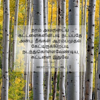 Picture 07 - 2 யோவான் 1:6 TAMIRV - நாம் அவருடைய - Bible Verse Picture