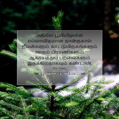 Picture 07 - அப்போஸ்தலருடைய நடபடிகள் 10:12 TAMIRV - அதிலே பூமியிலுள்ள - Bible Verse Picture