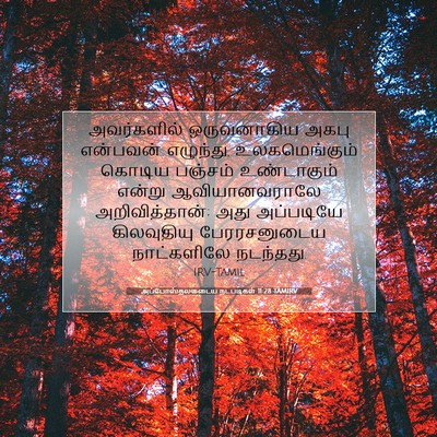 Picture 07 - அப்போஸ்தலருடைய நடபடிகள் 11:28 TAMIRV - அவர்களில் - Bible Verse Picture