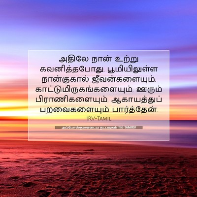 Picture 07 - அப்போஸ்தலருடைய நடபடிகள் 11:6 TAMIRV - அதிலே நான் உற்று - Bible Verse Picture