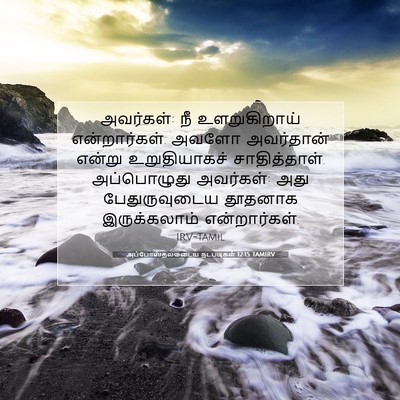 Picture 07 - அப்போஸ்தலருடைய நடபடிகள் 12:15 TAMIRV - அவர்கள்: நீ - Bible Verse Picture