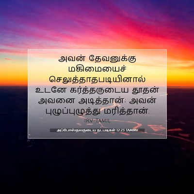 Picture 07 - அப்போஸ்தலருடைய நடபடிகள் 12:23 TAMIRV - அவன் தேவனுக்கு - Bible Verse Picture