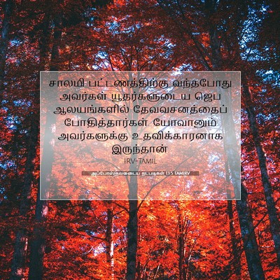 Picture 07 - அப்போஸ்தலருடைய நடபடிகள் 13:5 TAMIRV - சாலமி - Bible Verse Picture