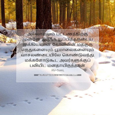 Picture 07 - அப்போஸ்தலருடைய நடபடிகள் 14:13 TAMIRV - அல்லாமலும் - Bible Verse Picture