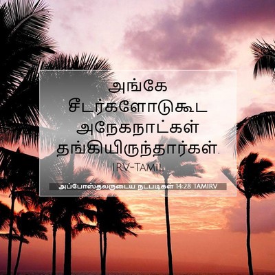 Picture 07 - அப்போஸ்தலருடைய நடபடிகள் 14:28 TAMIRV - அங்கே - Bible Verse Picture
