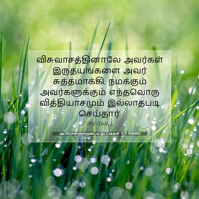 Picture 07 - அப்போஸ்தலருடைய நடபடிகள் 15:9 TAMIRV - விசுவாசத்தினாலே - Bible Verse Picture
