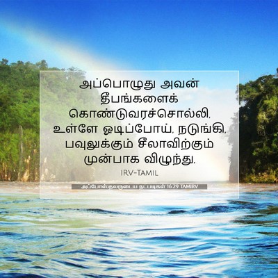 Picture 07 - அப்போஸ்தலருடைய நடபடிகள் 16:29 TAMIRV - அப்பொழுது அவன் - Bible Verse Picture