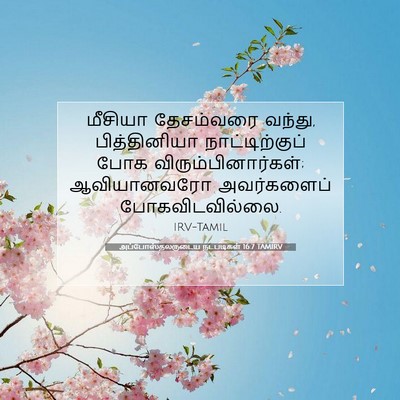 Picture 07 - அப்போஸ்தலருடைய நடபடிகள் 16:7 TAMIRV - மீசியா தேசம்வரை - Bible Verse Picture
